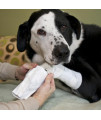 PawFlex Basic and Joint Dog Bandage Covers